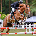 12 - Springpferdeprfg. Kl.M* 5-7 jährig