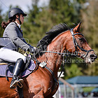 1 - Springprfg. Kl.A** m. St.