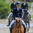 2 - Dressurprfg. Kl.A** A9/1