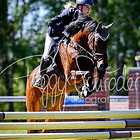 6/2 - Springprfg. Kl.A* ab 39 RLP