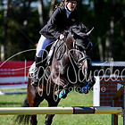 14 - Zwei-Phasen-Spring-WB