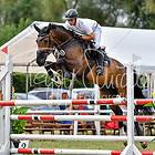 3 - Springpferdeprfg. Kl.L 4-7 jäh.