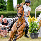 20 - Zwei-Phasen-Spring-WB