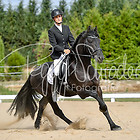 E-Dressur 2. Abteilung