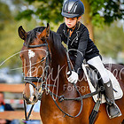 Einfacher Reitwettbewerb 1