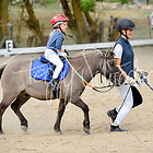 Führzügelklassen-WB