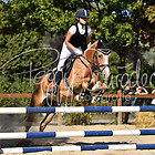 Stilspringprüfung Kl.E