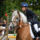 6 - Stilspring-WB "Pedro-Cup"