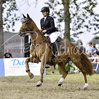 15 - Stilspringprfg. Kl.L m. St.