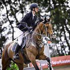 16 - Springprfg. Kl.M* m. St.