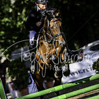 9/2 - Springprfg. Kl.A** ab 97 RLP