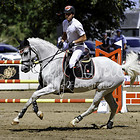 13/2 - Punktespringprfg. Kl.M* ab 857 RLP