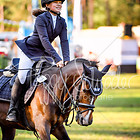 14 - Stilspringprfg. Kl.A*