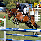 19/1 - Zeitspringprfg. Kl.L bis 228 RLP