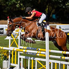 19/2 - Zeitspringprfg. Kl.L ab 229 RLP