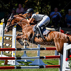 22/1 - Springprfg. Kl.M* bis 1158 RLP