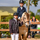 1 - Einfacher Reit-WB Schritt-Trab