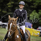 23/2 - Punktespringprfg. Kl.M* ab 801 RLP