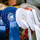 Int. Passchampionat Zachow 24.09.2022