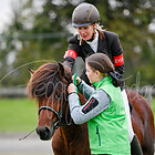 Z1.T1 Töltpreis BFIN