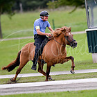 Z1.P1 Passrennen 250m