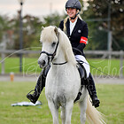 Z1.T1 Töltpreis BFIN