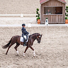 23 - Dressurpferdeprfg. Kl.L