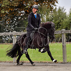 Z.FUV5 + 6 Futurity Viergang