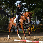 2-1 - Einfacher Reit-WB Schritt-Trab-Galopp bis 12 J.