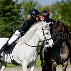 Z1.F1 Fünfgangpreis