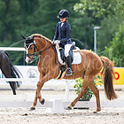 20 - Dressurpferdeprfg. Kl.A