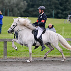 Z1.F1 Fünfgangpreis BFIN