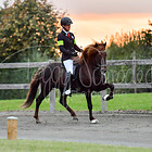 Z1.F1 Fünfgangpreis BFIN