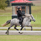 Z1.P3 Passrennen 150m