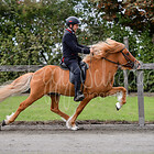 Int. Passchampionat Zachow 25.09.2021