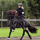 Z1.V1 Viergangpreis BFIN