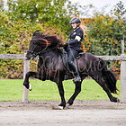 Z1.V1 Viergangpreis BFIN