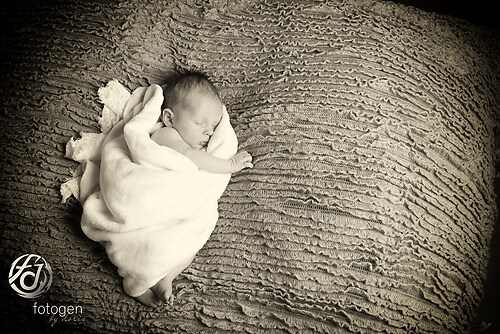 IMG_5060internet (59679e3e-056c-46fe-a44c-3e100a4d9920_l)