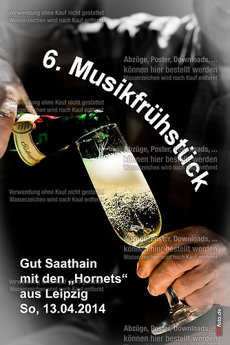 MFST6-Saathain_20140413__001_