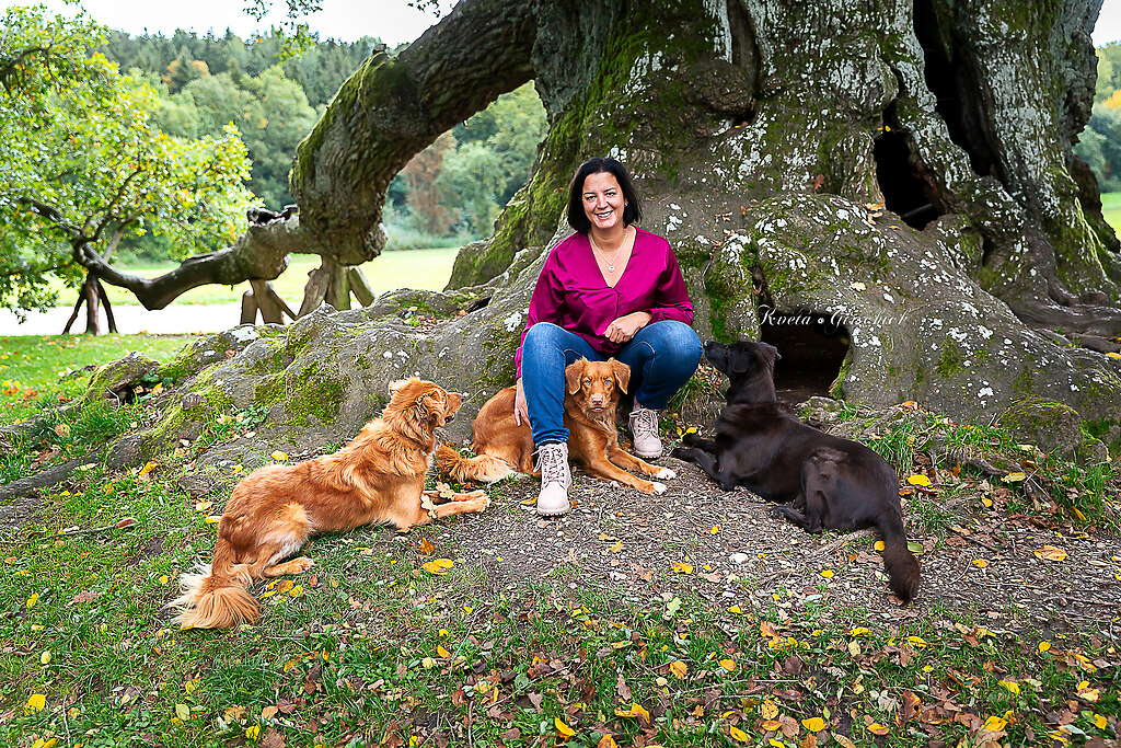 Hundefotografie