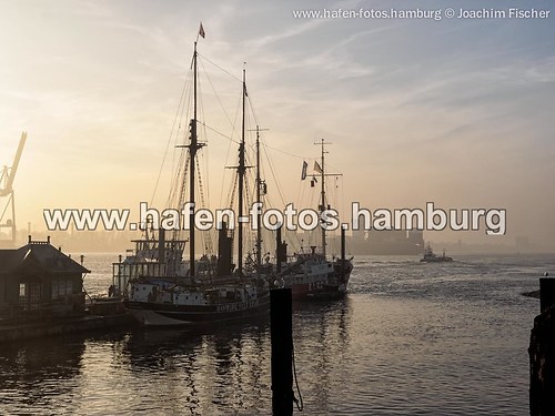 2014-11-25 Hafen im Nebel (web 2014-11-25 nebel sonne 007-Bearbeitet)