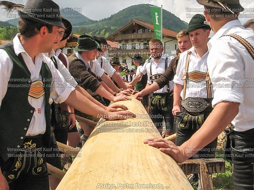 Rottauer Maibaum Q1