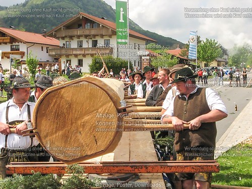 Rottauer Maibaum Q2