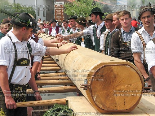 Rottauer Maibaum Q3