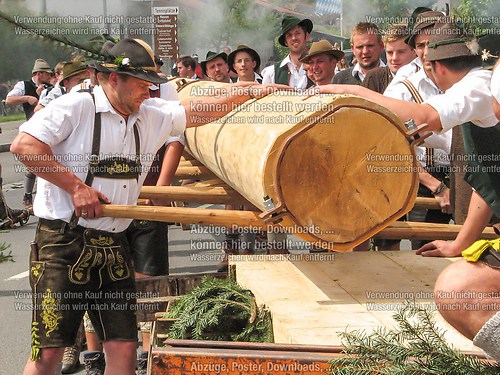 Rottauer Maibaum Q4