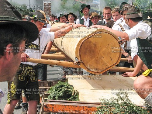 Rottauer Maibaum Q5