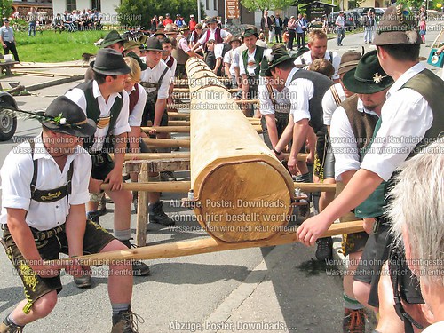 Rottauer Maibaum Q6