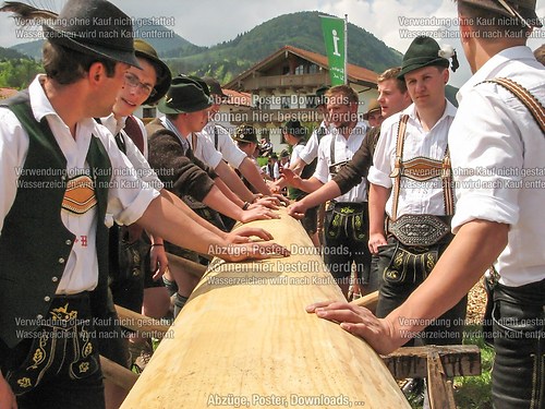 Rottauer Maibaum Q7
