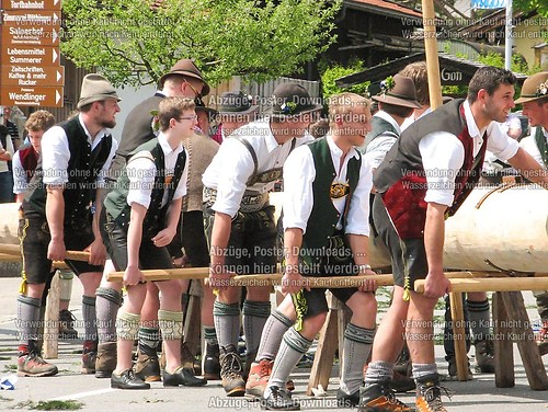 Rottauer Maibaum Q14