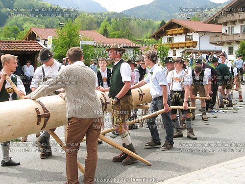 Rottauer Maibaum Q15